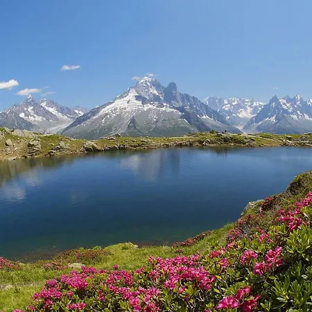 Comfortable Holiday In Charmonix With Mountain View Chamonix